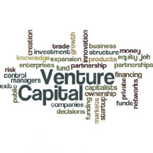 venture CEO