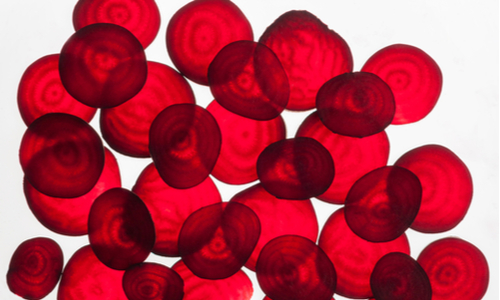 Food ingredients 2021 Manufacturing in specialty products technology